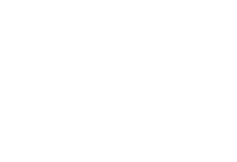 White Ravi Group