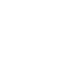 White Ravi Group